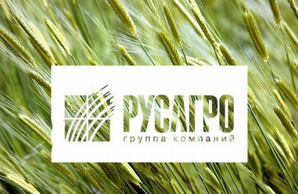 Группа "Русагро" планирует в 2019 году сделать инвестиции в размере более 20 миллиардов рублей